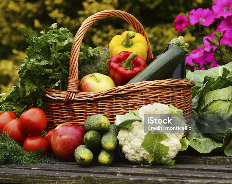 Garden With Vegetables 2